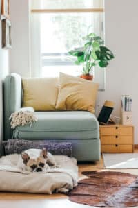 renters insurance