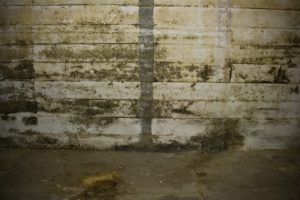 a concrete wall with a line in it