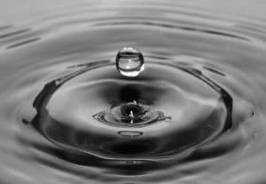 Gray Water: Category 2 Water Damage