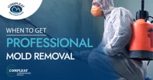 when-to-get-professional-mold-removal