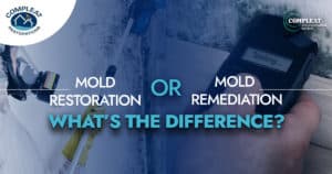 mold restoration or mold remidiation