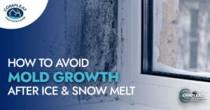 how to avoid mold growth flyer