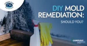 DIY mold remediation
