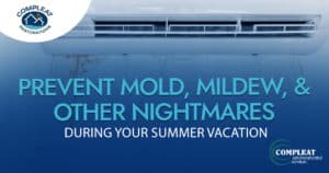 prevent mold