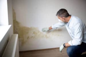 person inspecting mold in wall