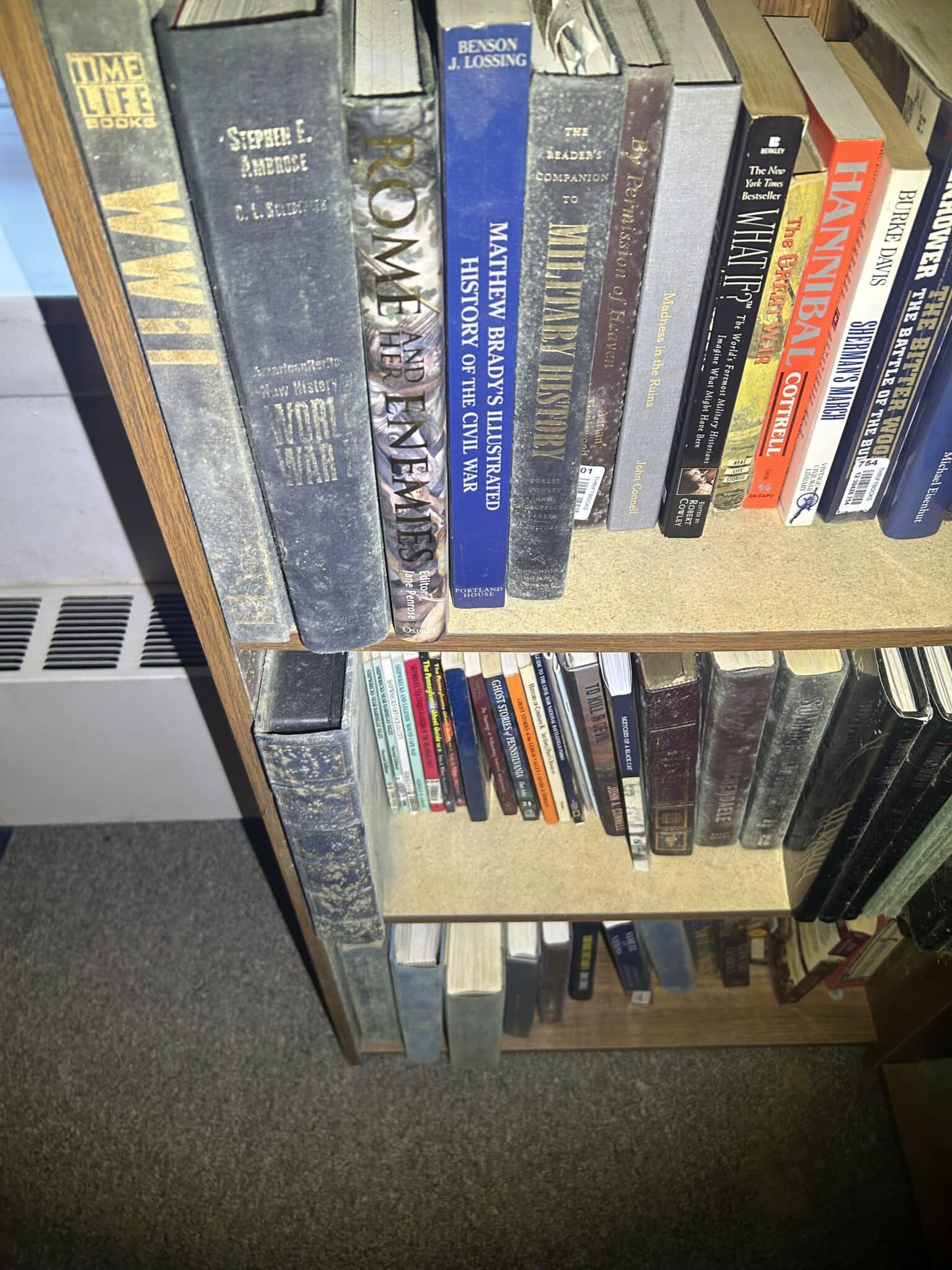 A moldy bookshelf in Allentown