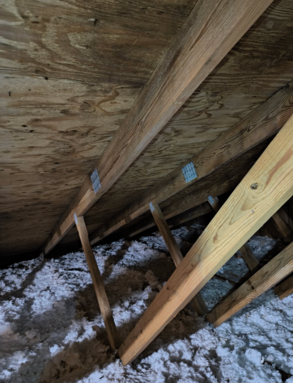 An old York attic with mold