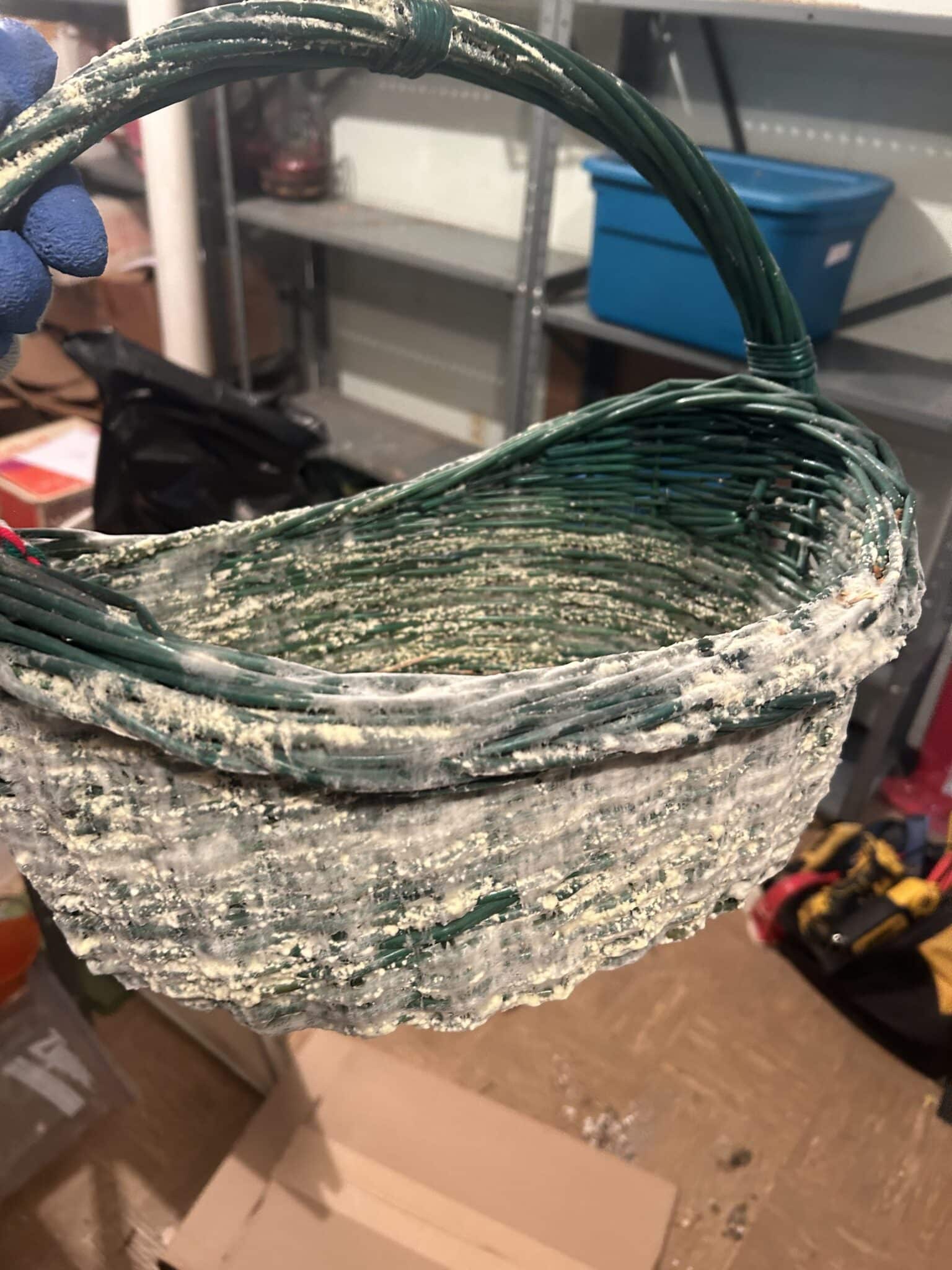 A basket covered in mold