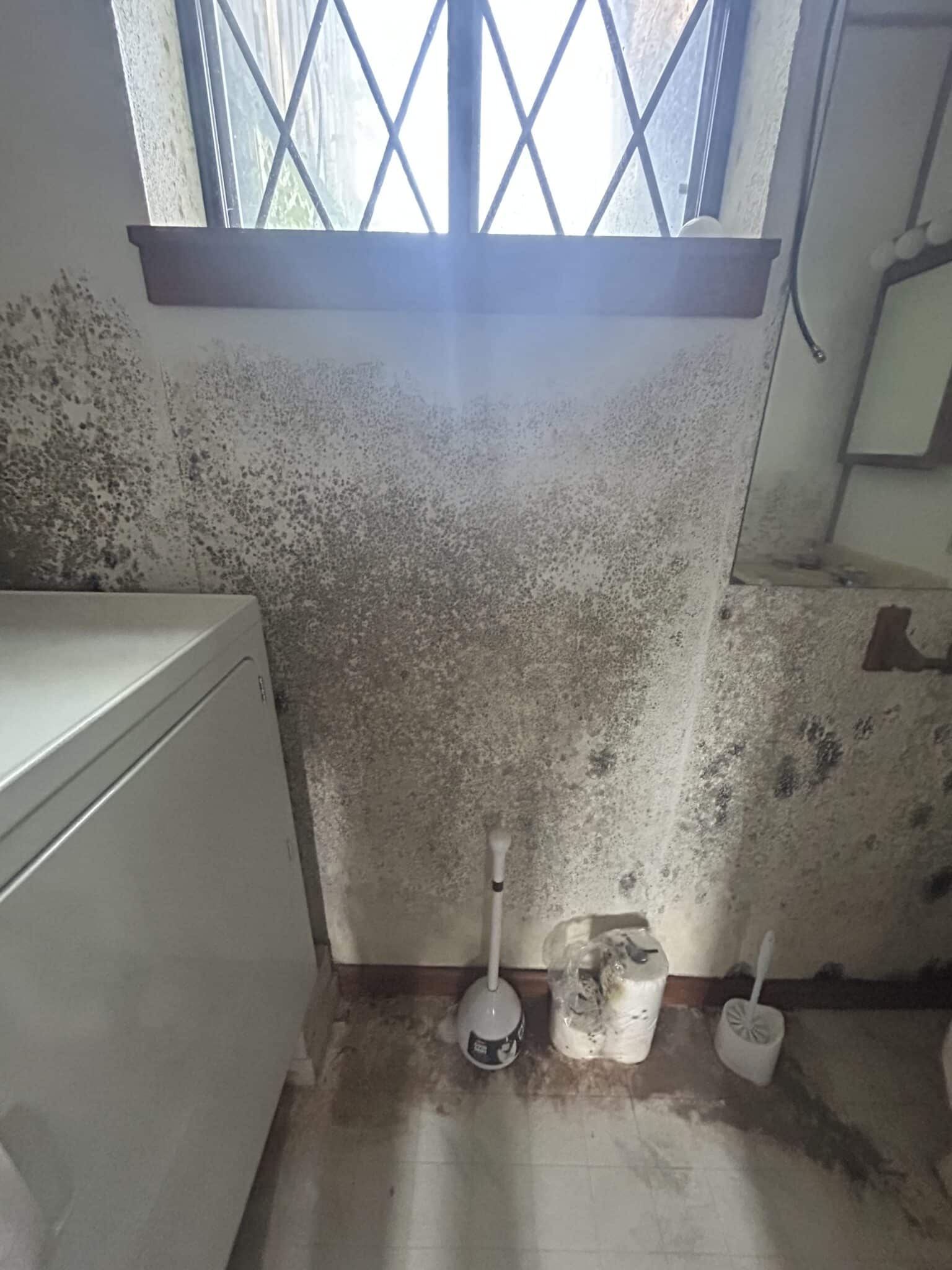 A Allentown bathroom with mold