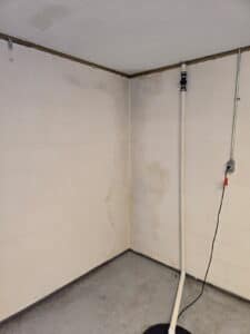 A moldy corner