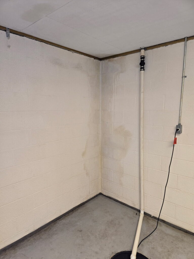 A moldy corner