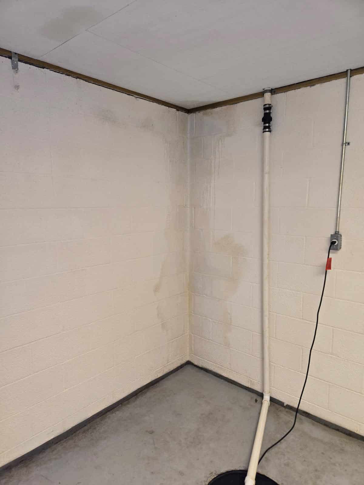 A moldy corner