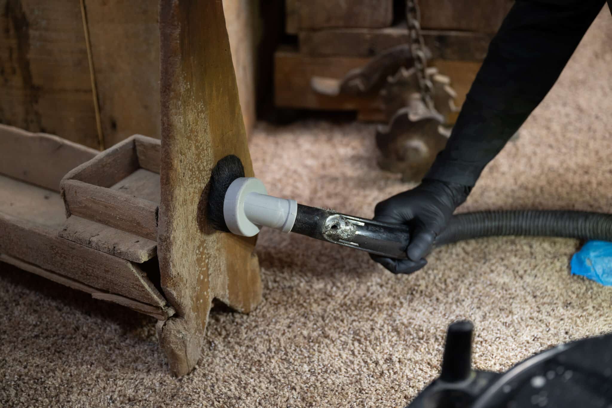 Mold being remediated