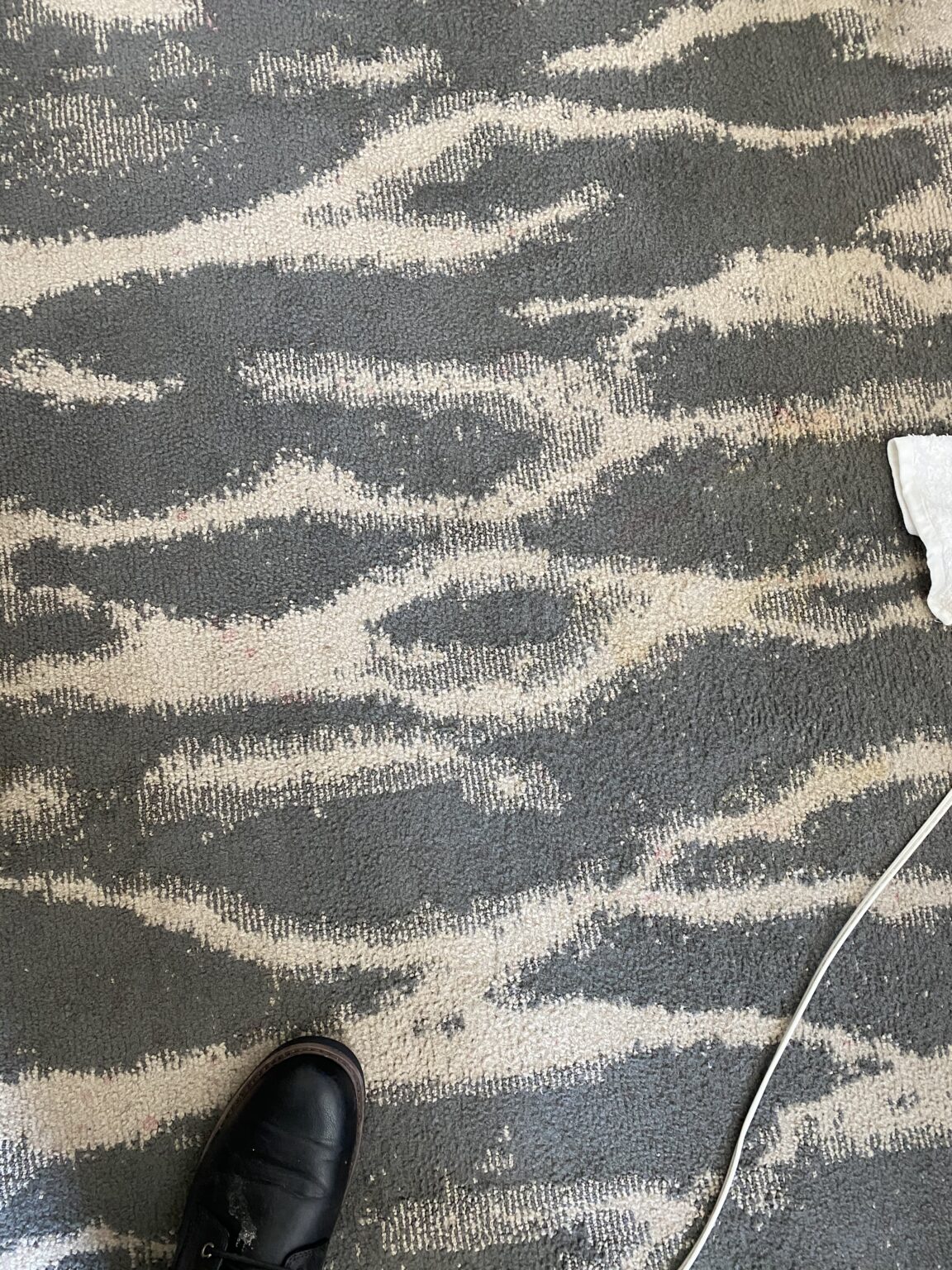 Commercial carpet after stain removal and hot water extraction by Compleat Clean